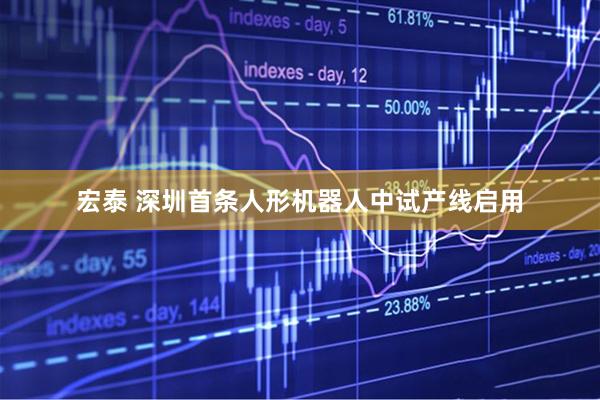 宏泰 深圳首条人形机器人中试产线启用